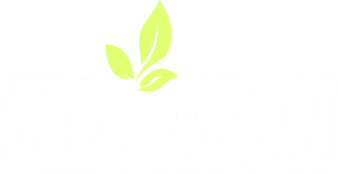 Seed Media